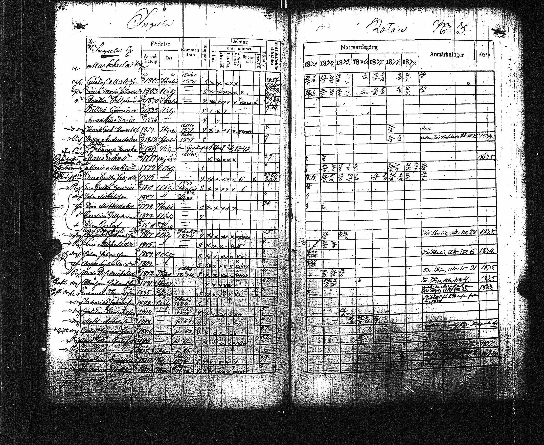 [ kuvat/183.jpg ]