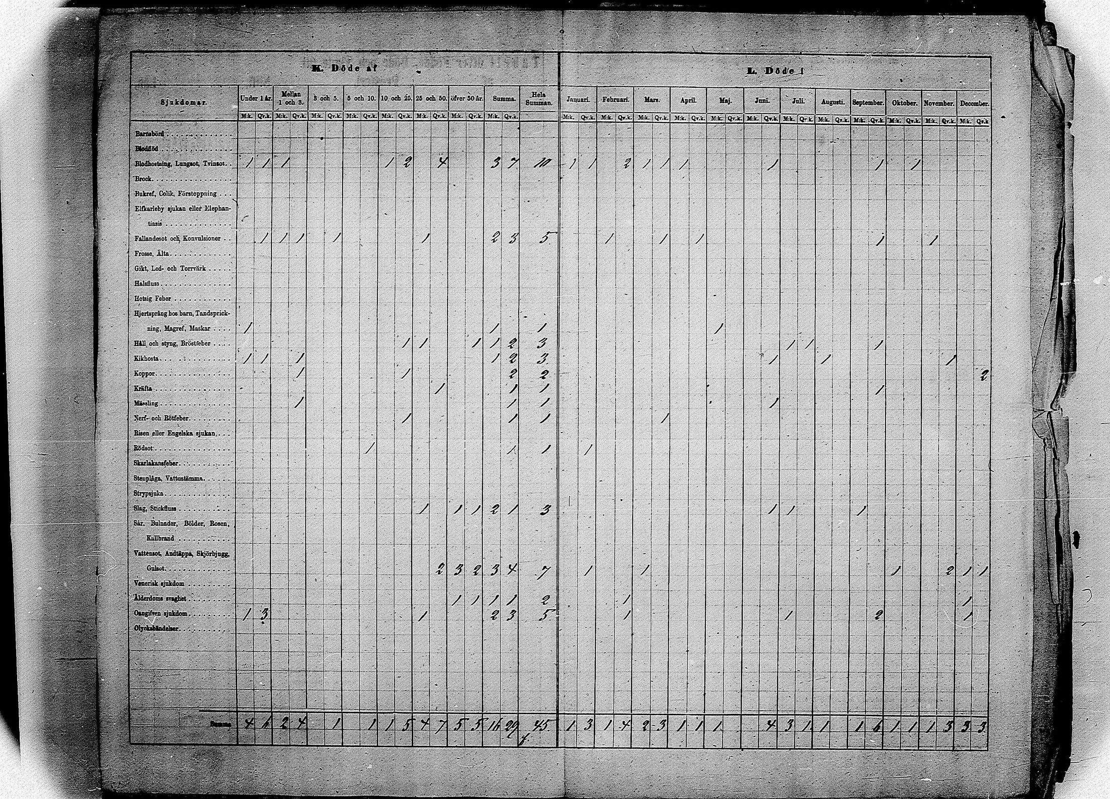 [ kuvat/167.jpg ]